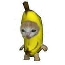 香蕉猫