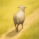 HERD