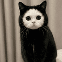 MOCHI