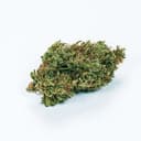 GRAM