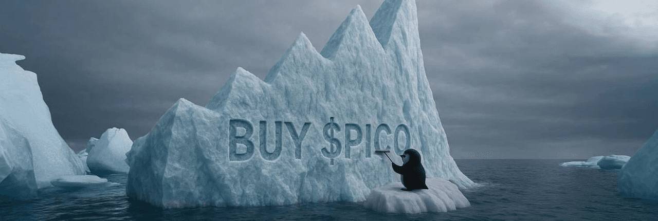 Pico Banner