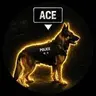 ACE