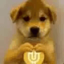 INU
