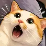 $MEOWTF