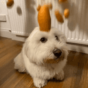 EGGDOG