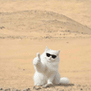 Marscat