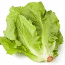 Lettuce