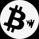 shitcoin