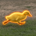JIMDUCK