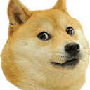 DOGE