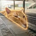 traincat