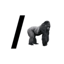 /ape