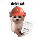 DEBTCAT
