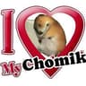 Chomik