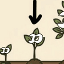 seed