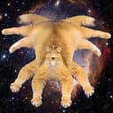 catclops