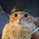 melon