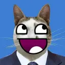 lolcat