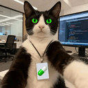 interncat