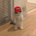 MMGA