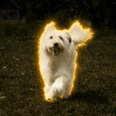 Chupa