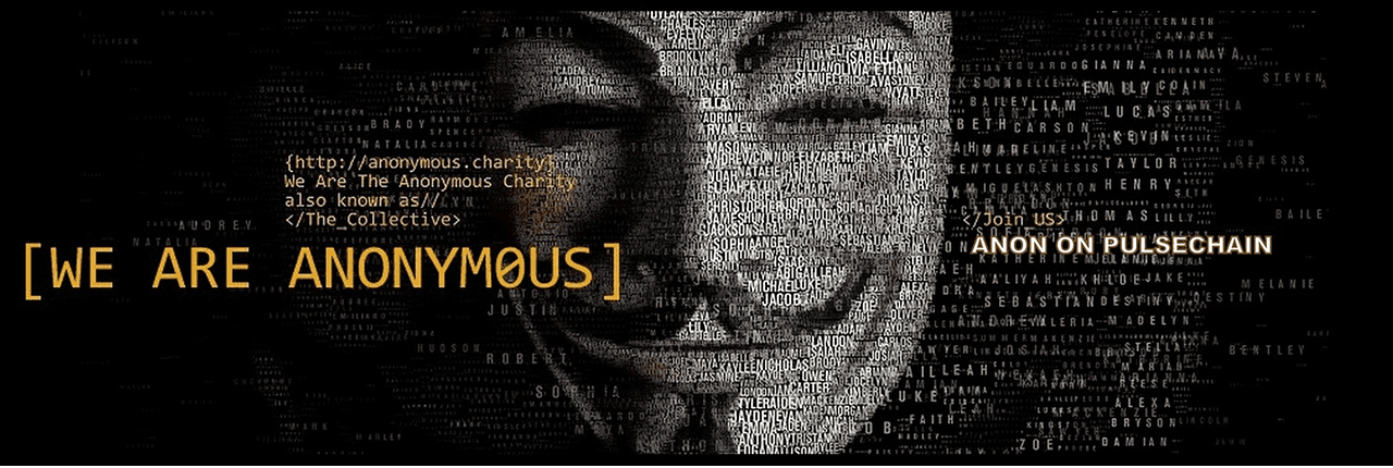 PulseChain Anonymous Banner