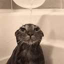 wetpussy