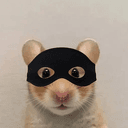 RAT