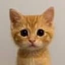 Meowcoin