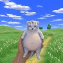 BELLY