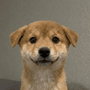 pfp