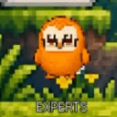 Experts