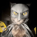 CATMAN