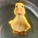 鸭YA