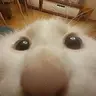 BLEP