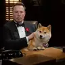 DOGEFATHER
