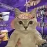 psyopcat