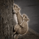 GNUTS