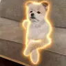 ちくわ