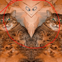 WHATA?CATS