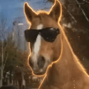 HORSES