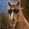 HORSES