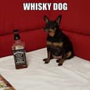 WHISKD