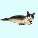 $catfish