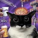 brainrot
