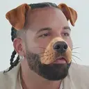Bark