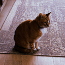 HOBBES