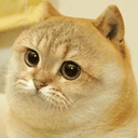 CATE