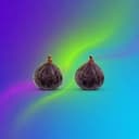 2 Figs