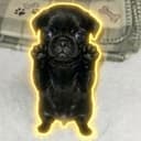 Nugget